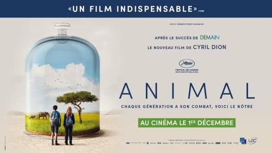 « Animal », un film de Cyril Dion sur notre relation au vivant